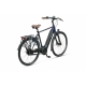 Batavus Finez E Go Power Exclusive Plus (automaat)